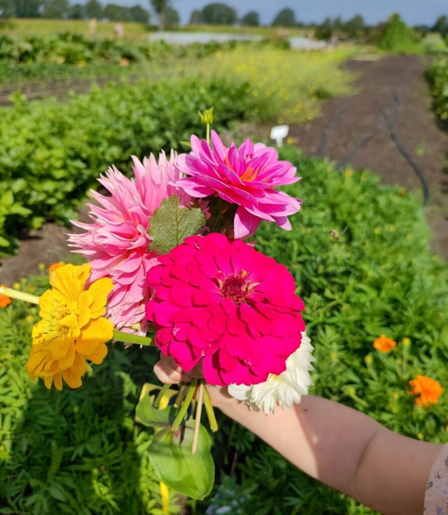 voedsel-veur-elkaar-impressie-2