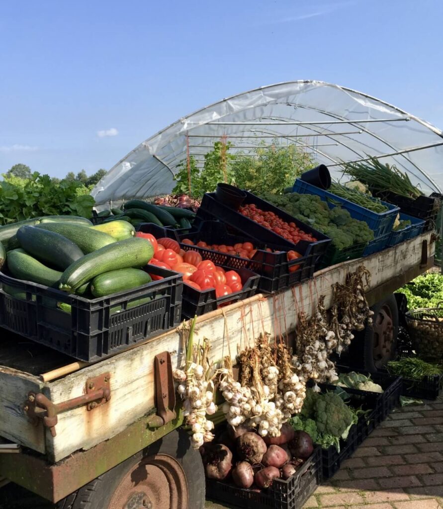 voedsel-veur-elkaar-impressie-3