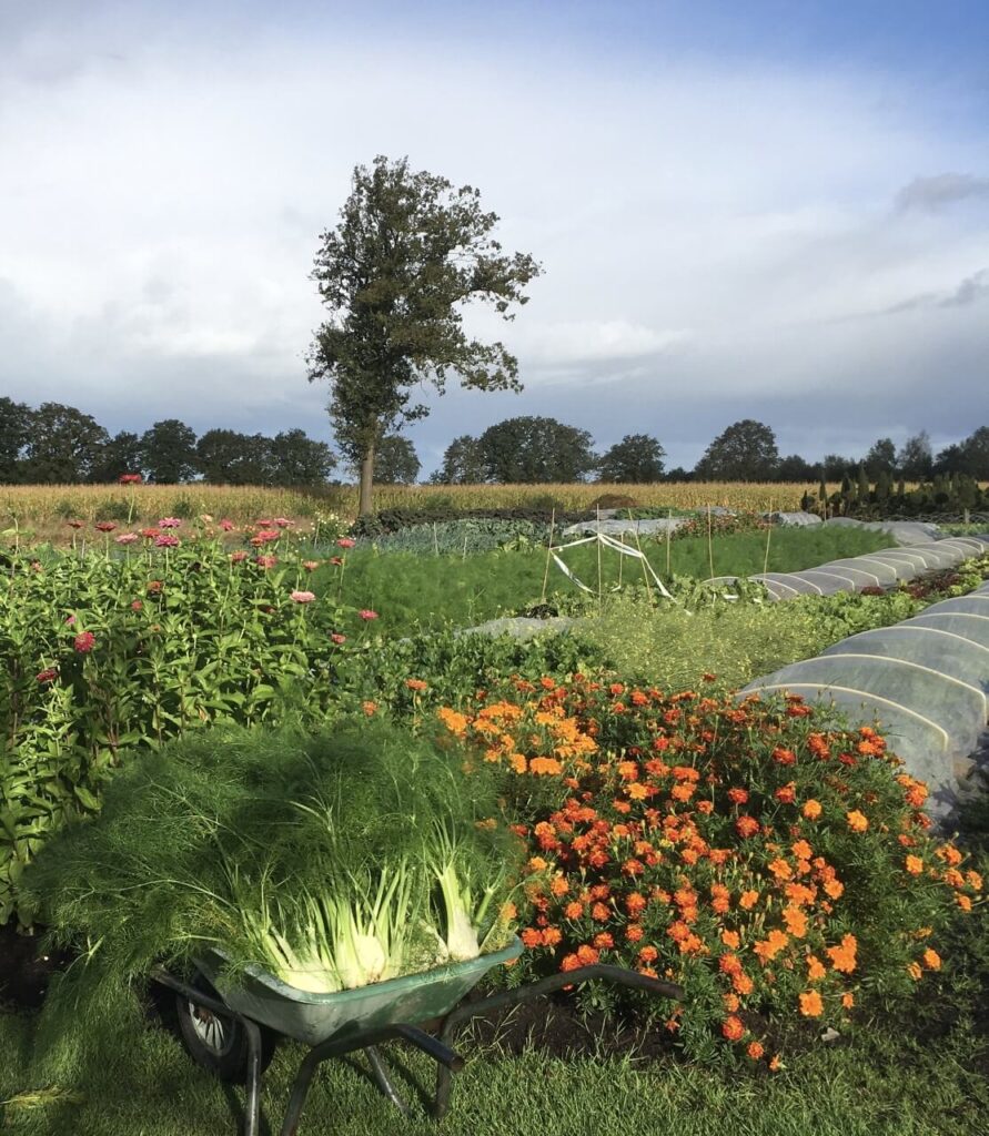 voedsel-veur-elkaar-impressie-4